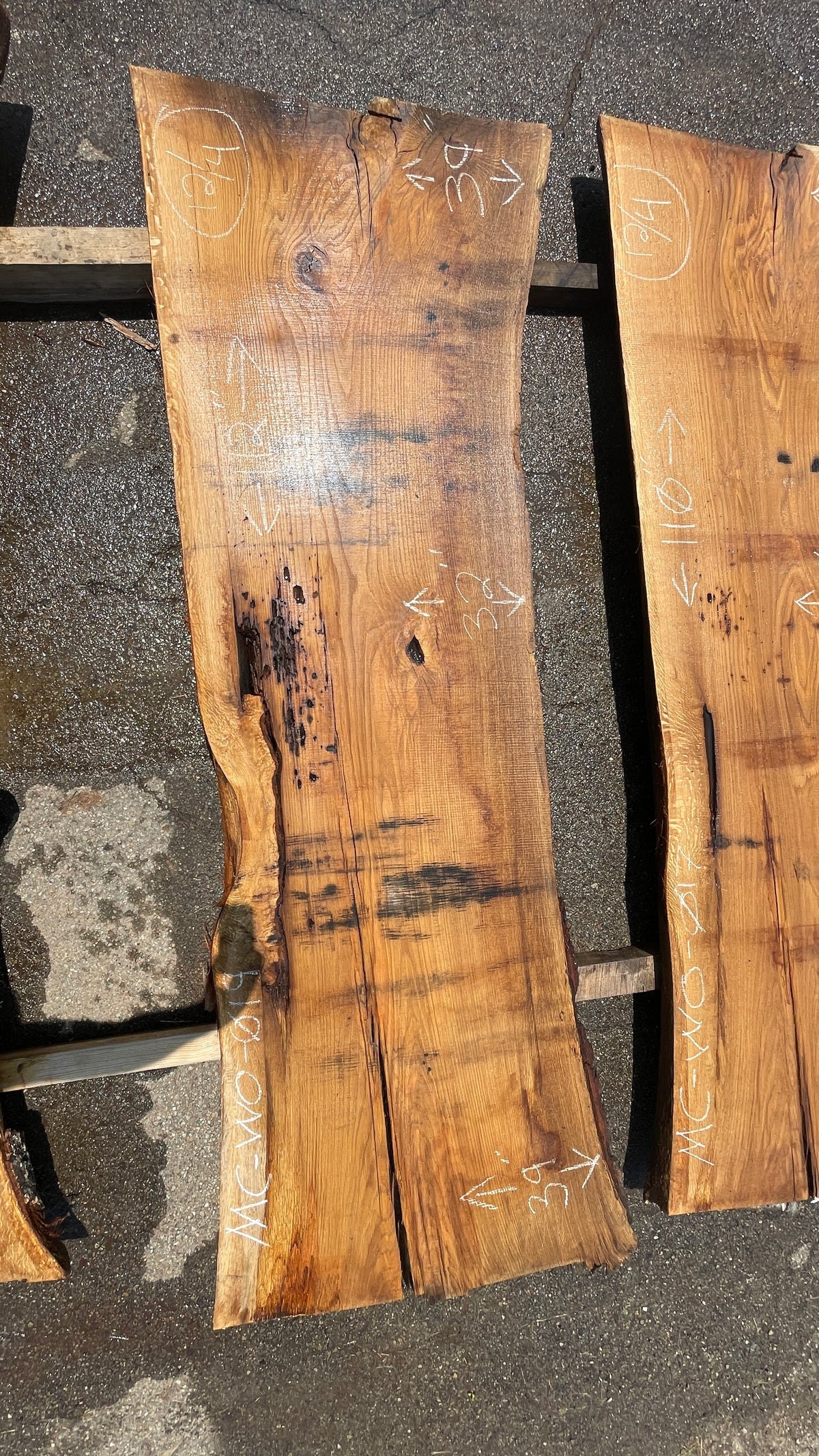 White Oak Lumber Slab #1197 BLUE